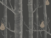 Cole & Son The Contemporary Collection Woods & Pears - 95/5031