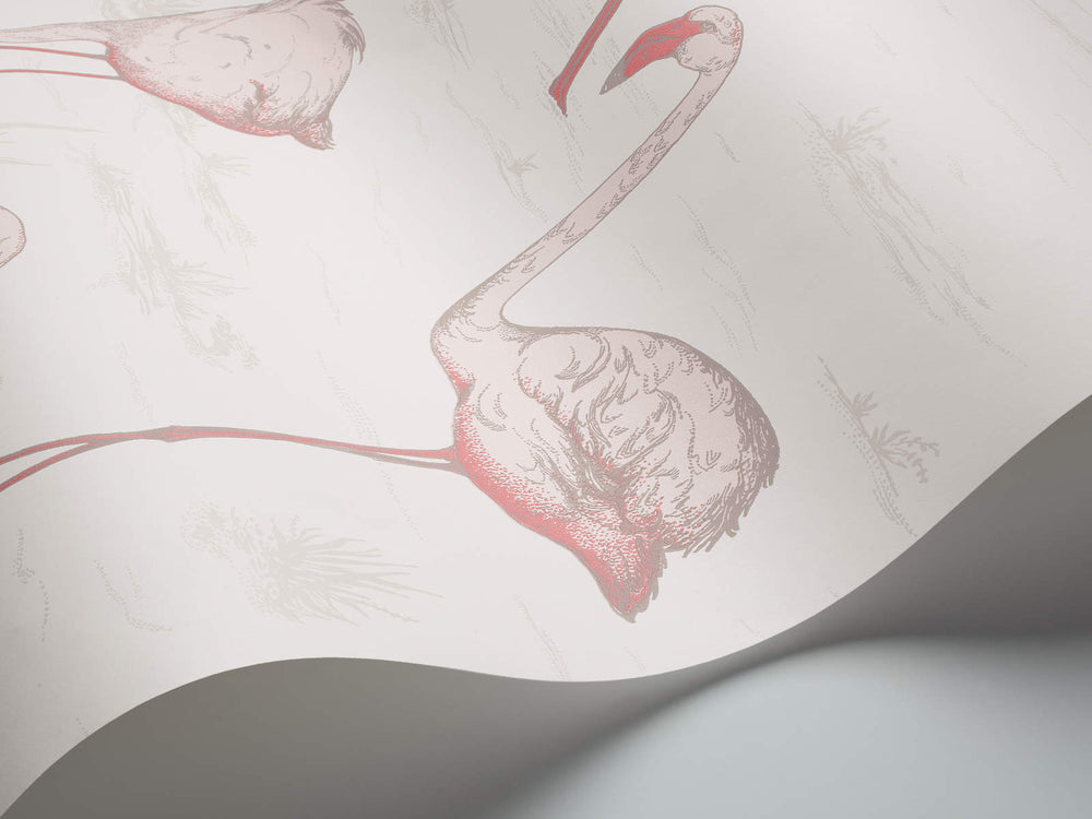 Cole & Son The Contemporary Collection Flamingos - 95/8045