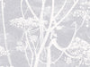 Cole & Son The Contemporary Collection Cow Parsley - 95/9049
