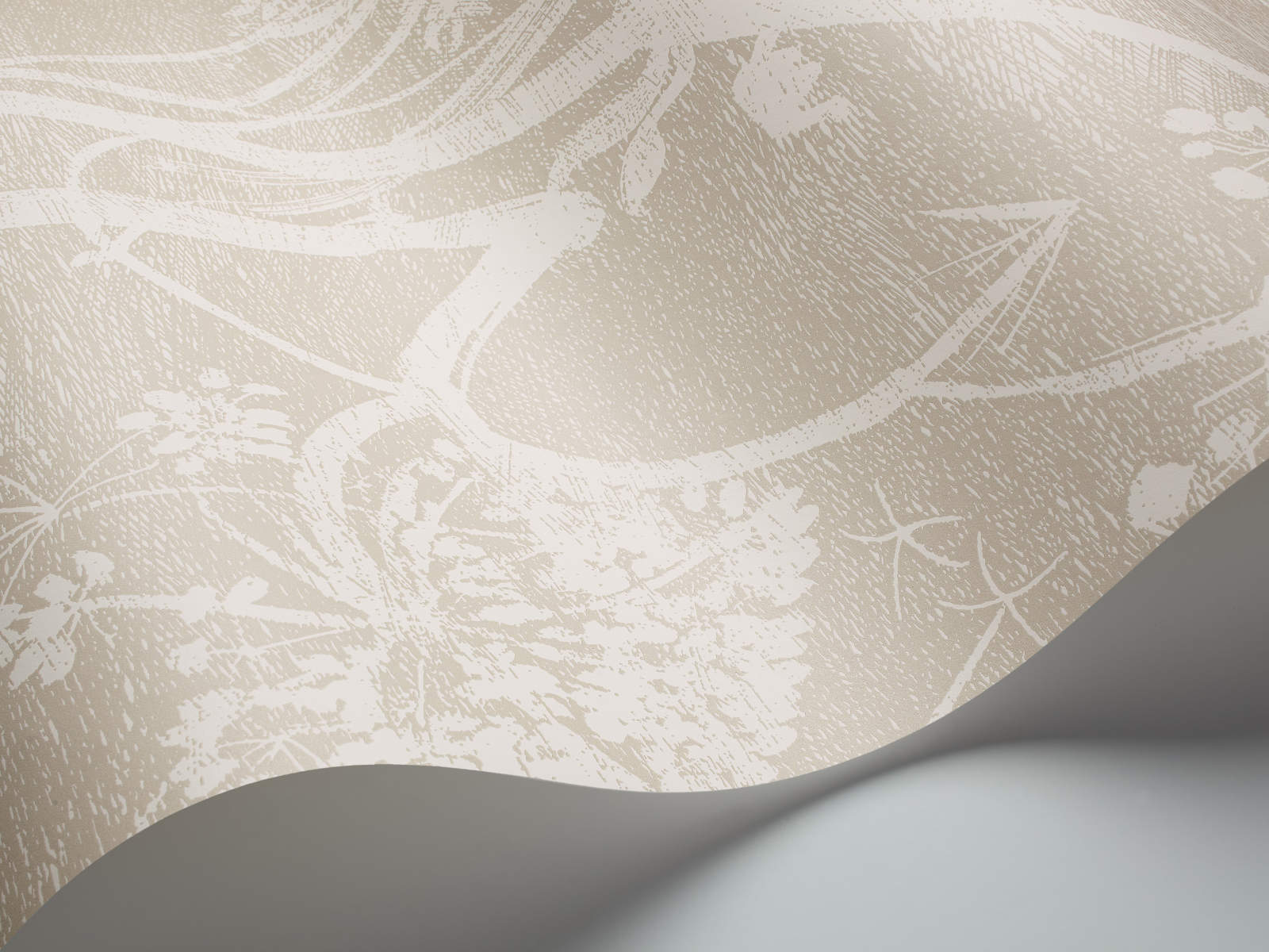 Cole & Son The Contemporary Collection Cow Parsley - 95/9051