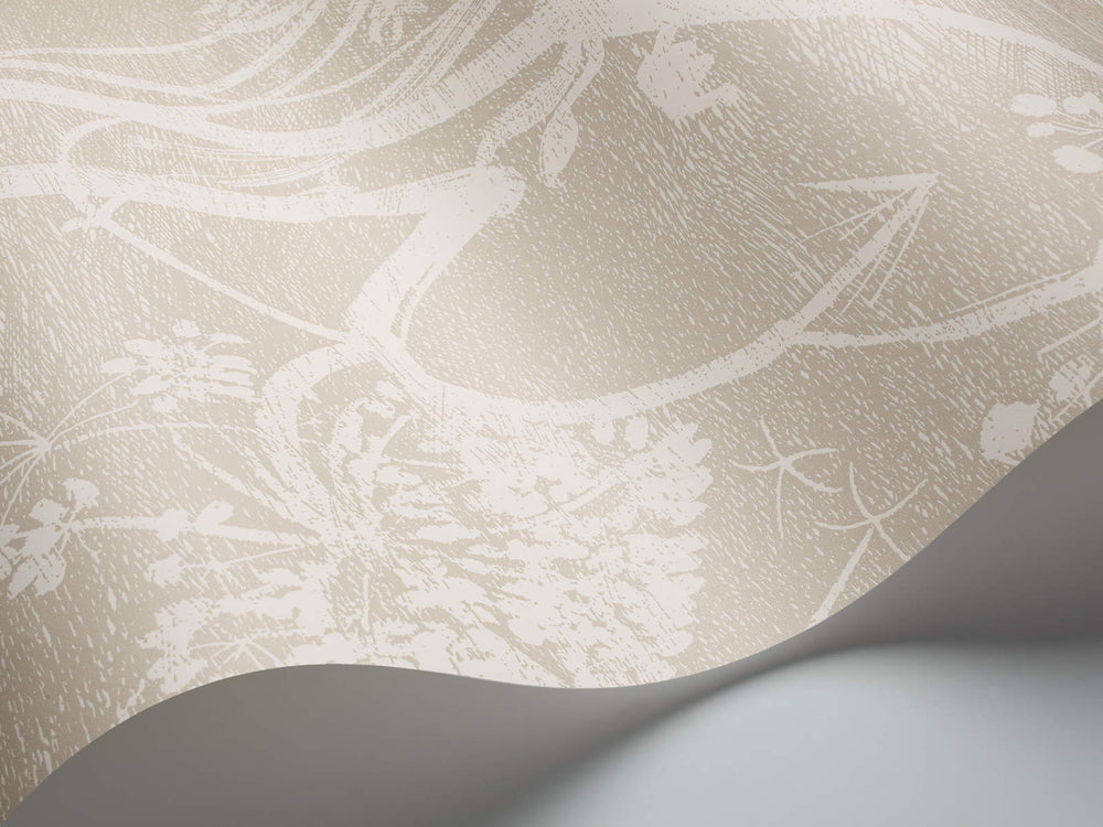 Cole & Son The Contemporary Collection Cow Parsley - 95/9051