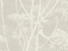 Cole & Son The Contemporary Collection Cow Parsley - 95/9051