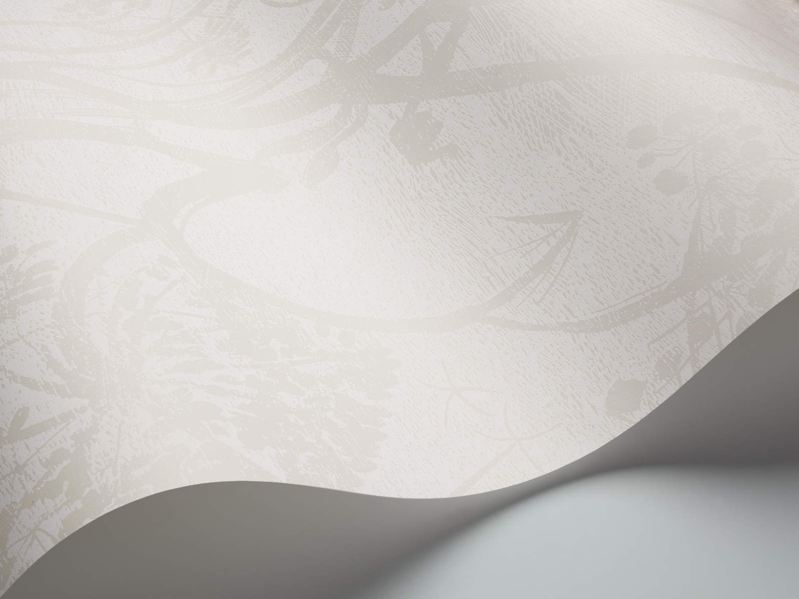 Cole & Son The Contemporary Collection Cow Parsley - 95/9052