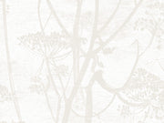 Cole & Son The Contemporary Collection Cow Parsley - 95/9052