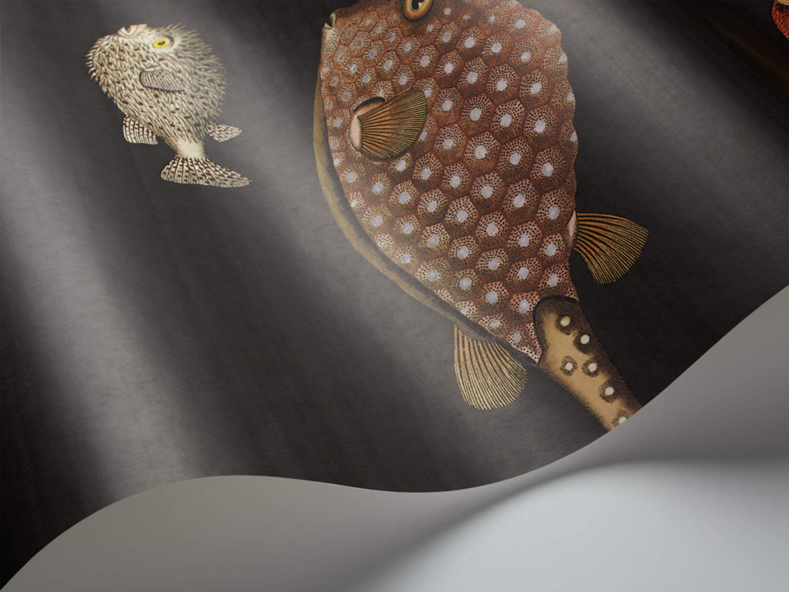Cole & Son Fornasetti Senza Tempo Acquario - 97/10048