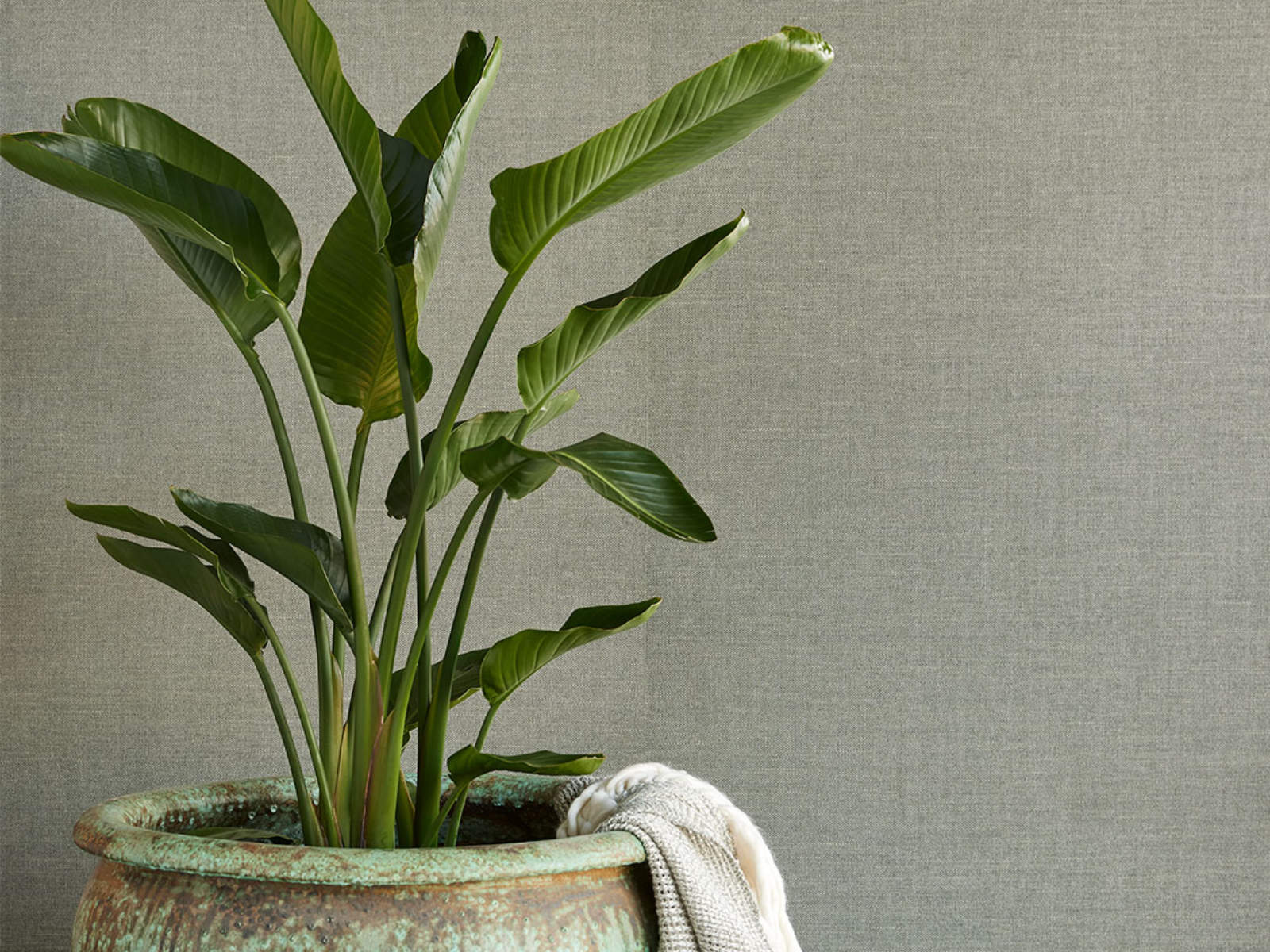 Eijffinger Natural Wallcovering 3 - 303520