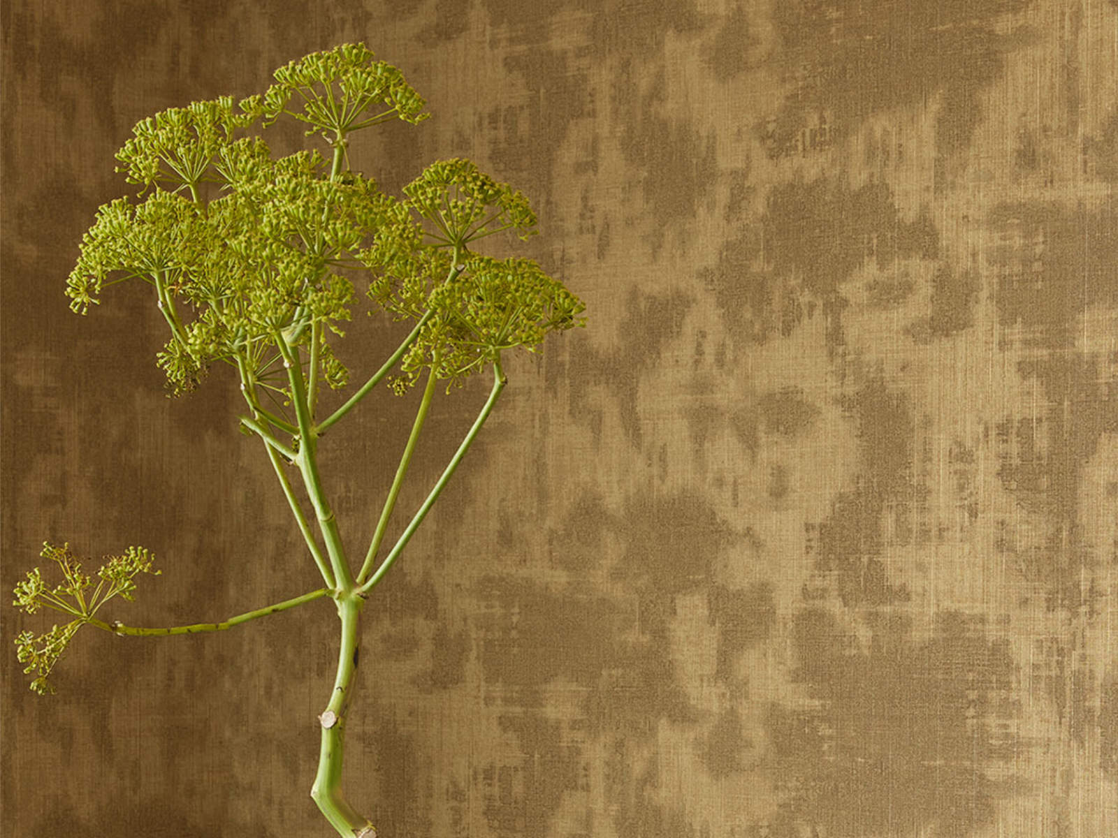 Eijffinger Canvas - 313525