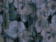 Eijffinger Canvas - 313571