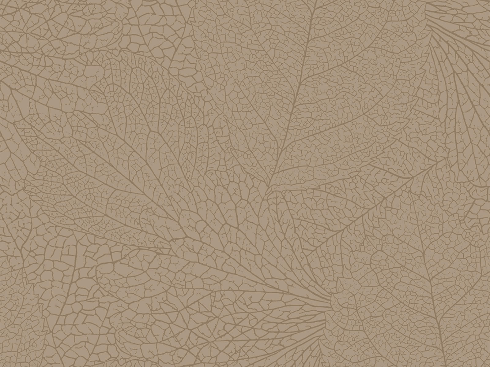 Eijffinger Embrace - 324041