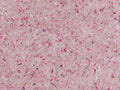 Eijffinger Felt - 350813