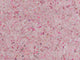 Eijffinger Felt - 350813