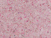 Eijffinger Felt - 350813