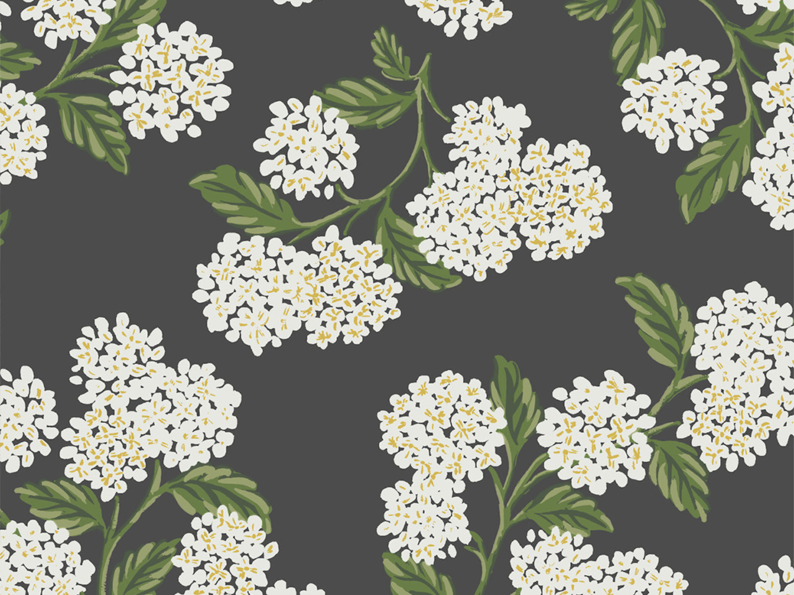 Eijffinger Rifle Paper Co. Hydrangea - 5146