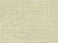 HookedOnWalls Culture Club Straw - 14621