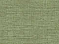HookedOnWalls Culture Club Straw - 14623