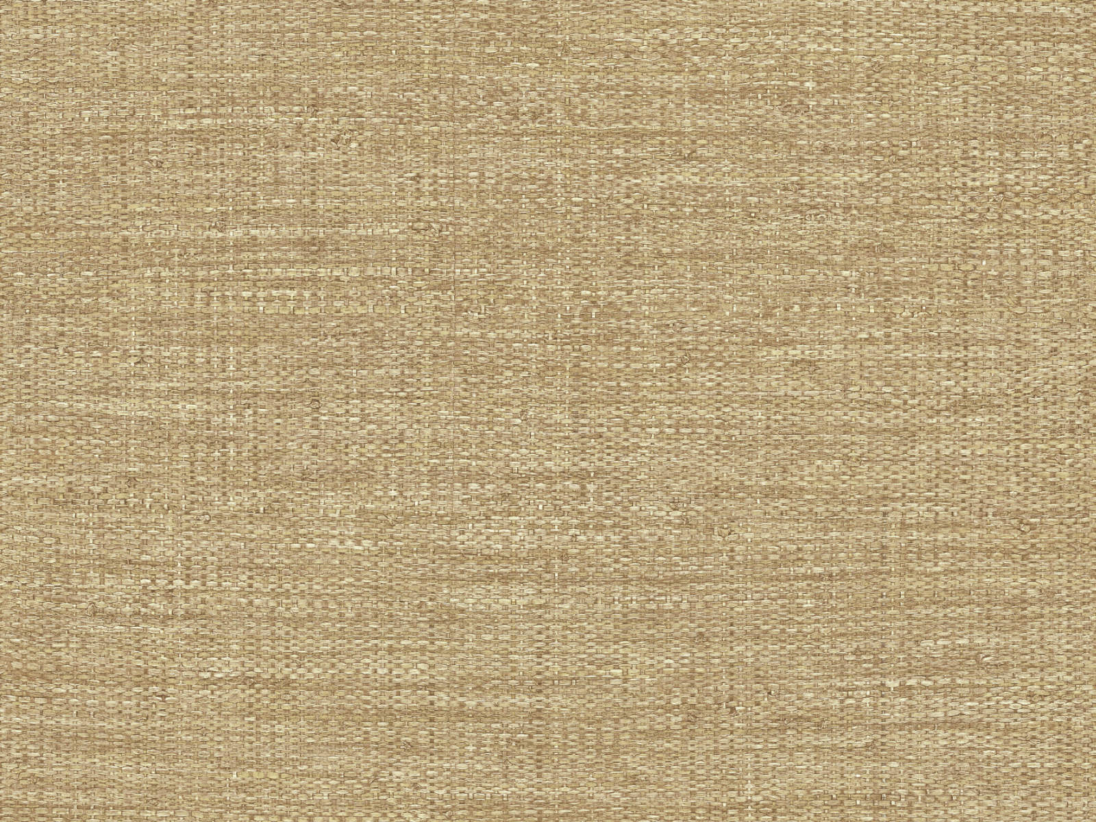 HookedOnWalls Culture Club Straw - 14629
