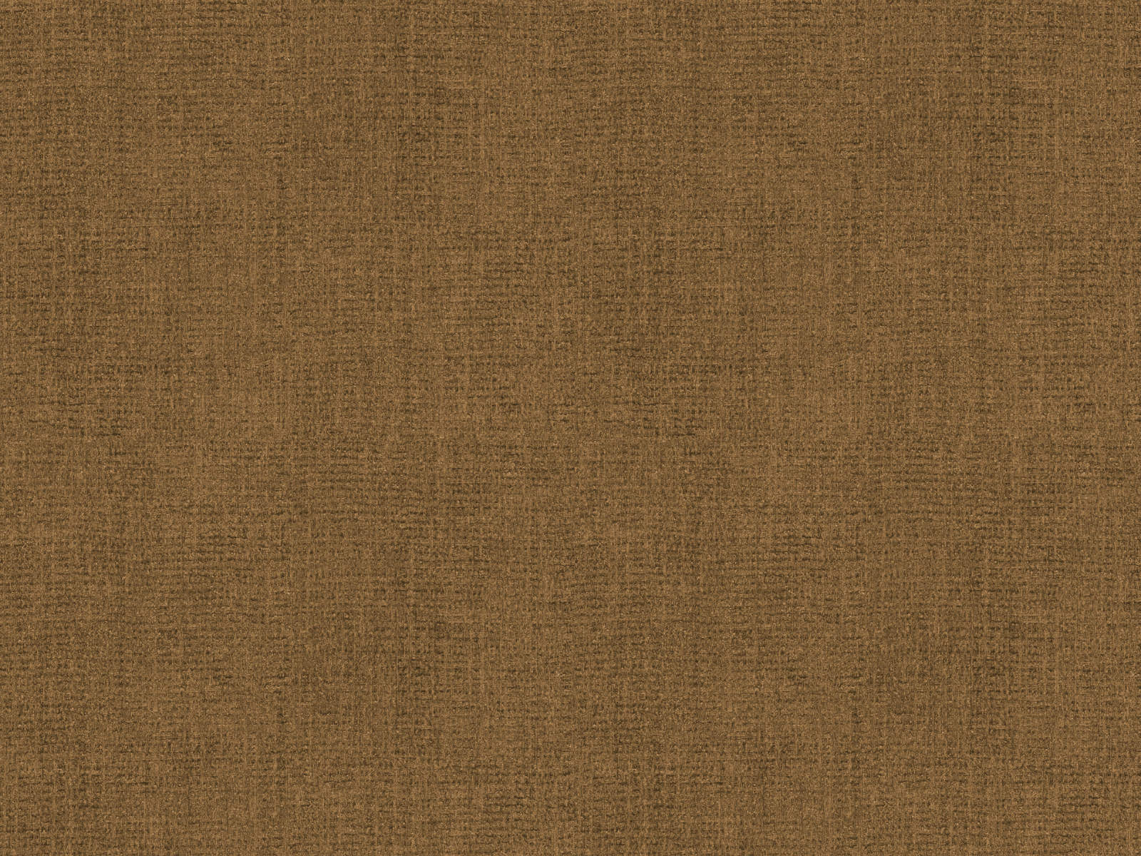 HookedOnWalls Amur Plain 1 - 15101