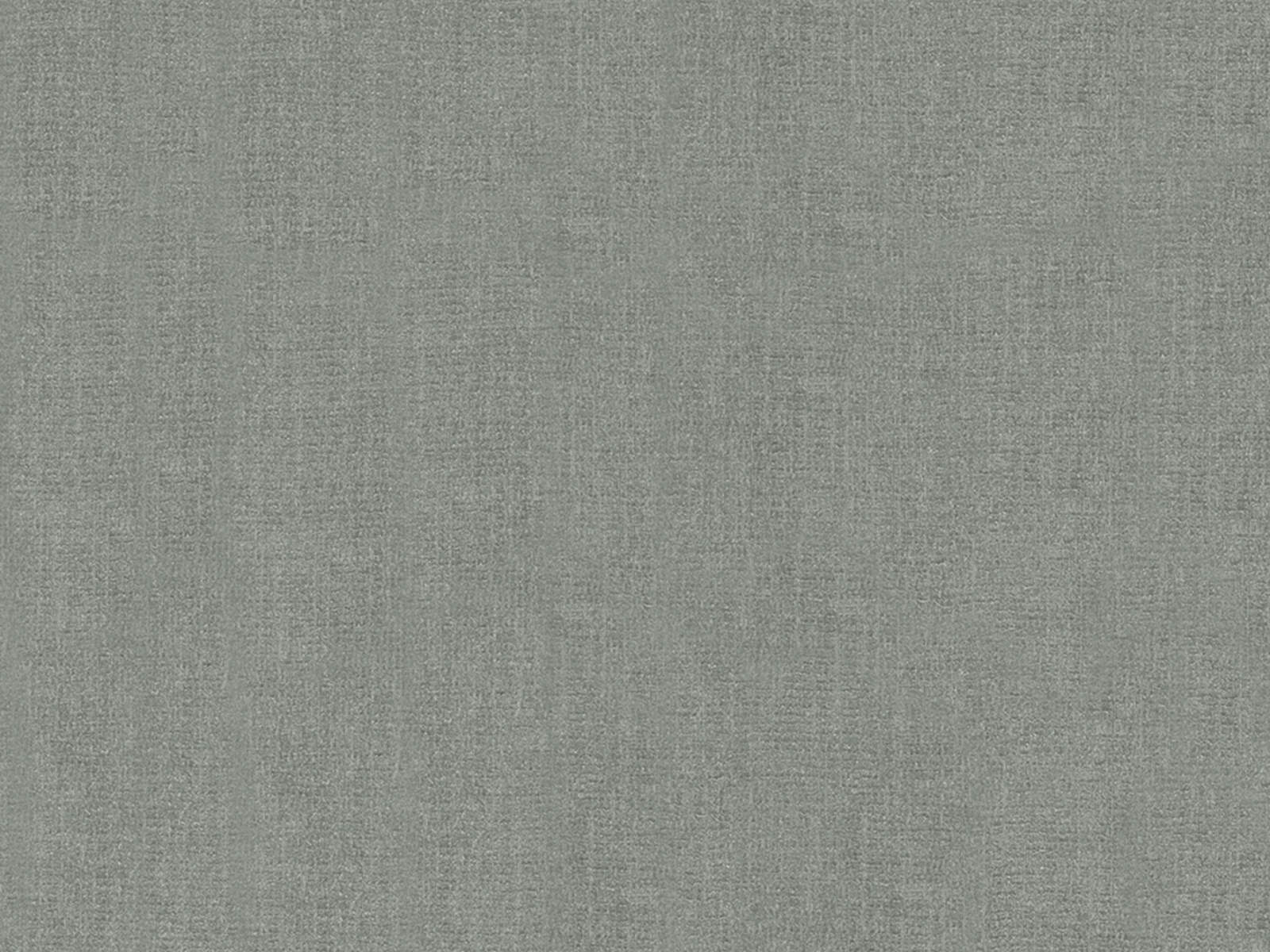 HookedOnWalls Amur Plain 1 - 15104