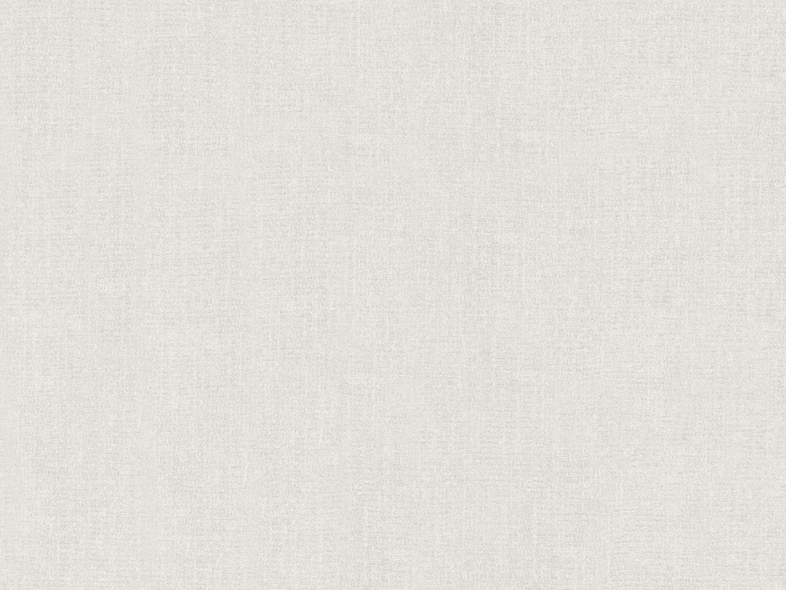 HookedOnWalls Amur Plain 1 - 15106