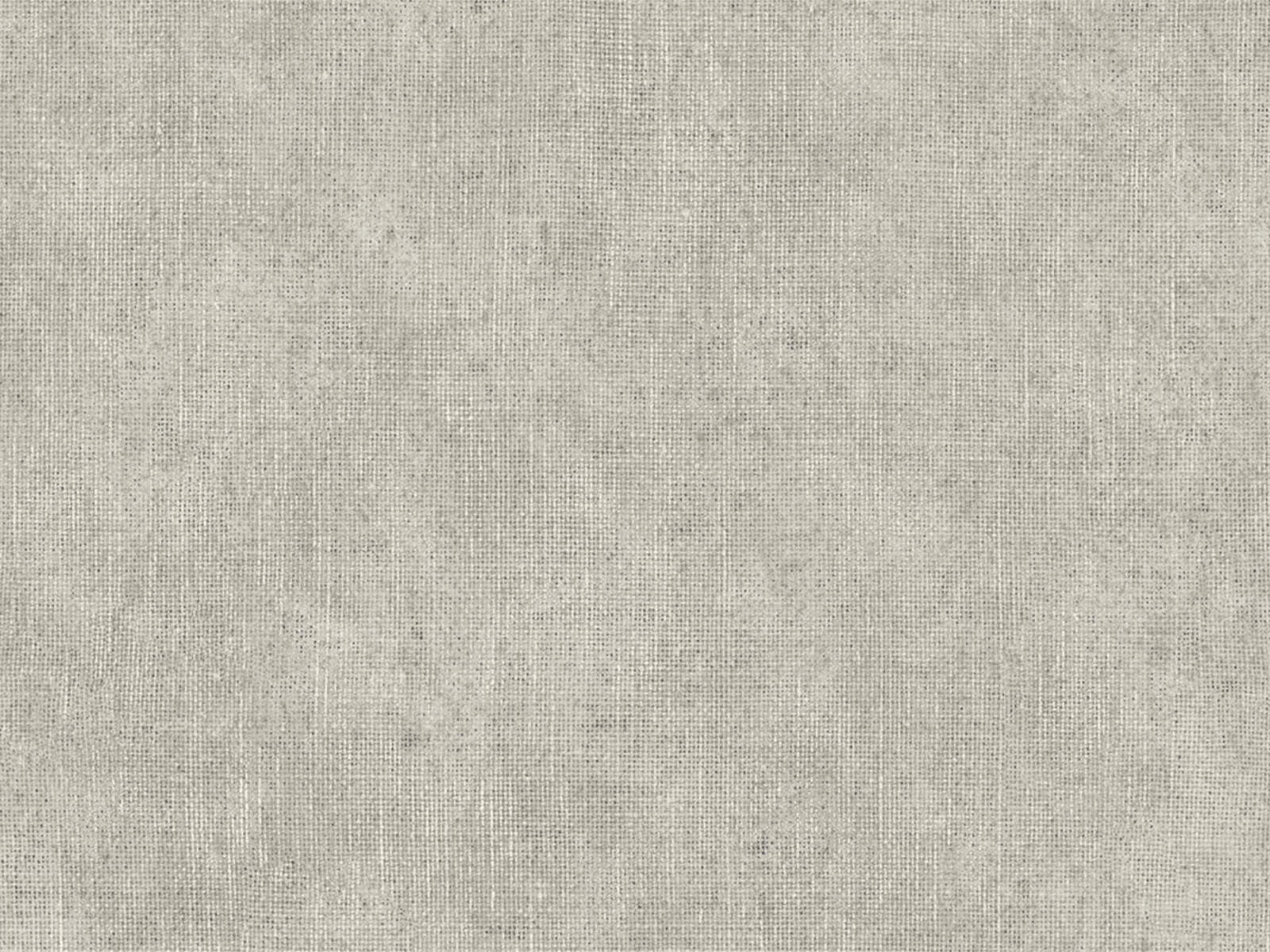 HookedOnWalls Leopard Walk Ramie - 15304