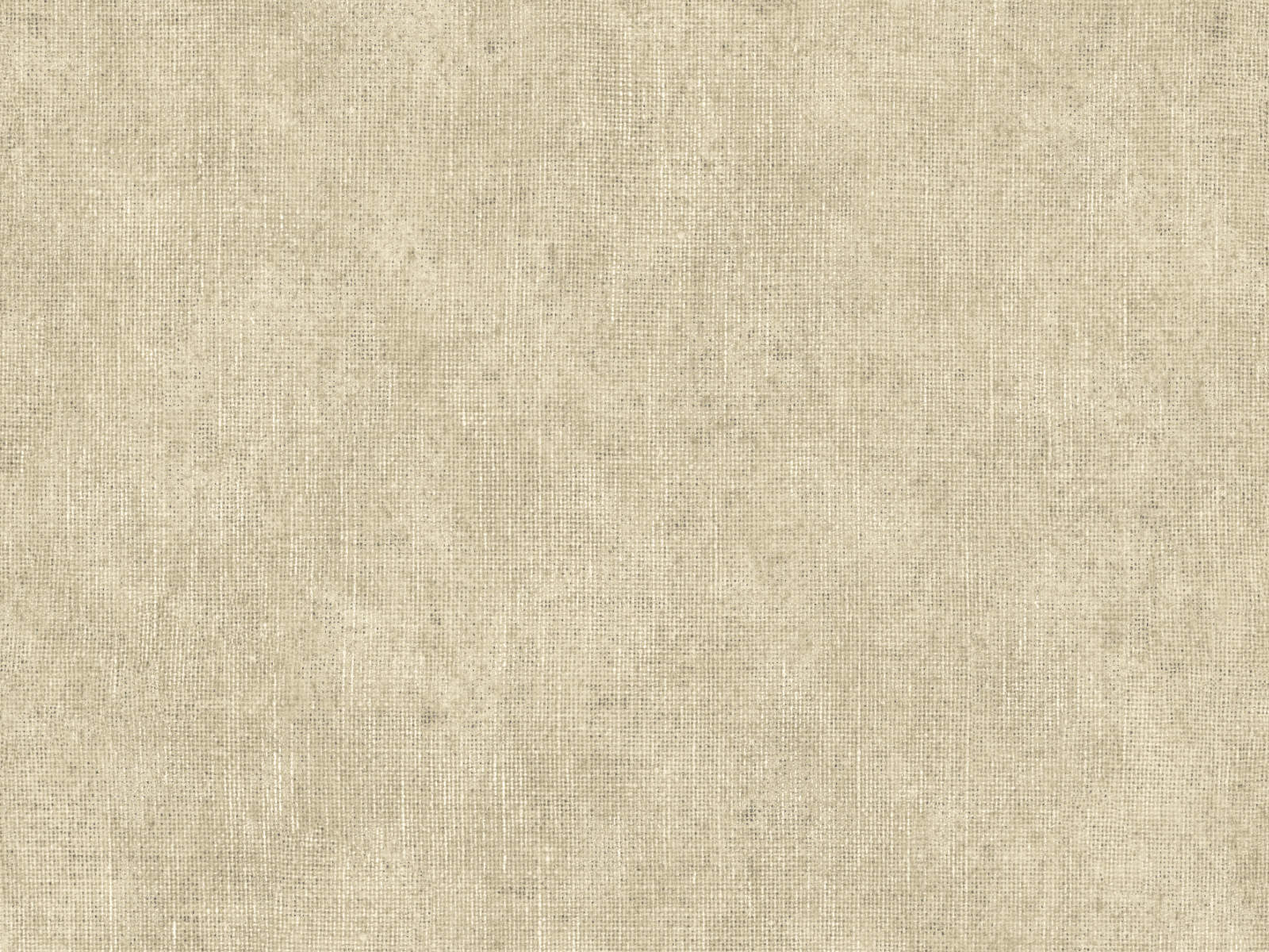 HookedOnWalls Leopard Walk Ramie - 15305