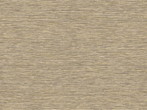HookedOnWalls Leopard Walk Jomon - 15308