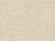 HookedOnWalls Leopard Walk Jomon - 15309