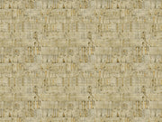 HookedOnWalls Leopard Walk Suber - 15326