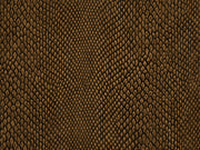 HookedOnWalls Leopard Walk Naja - 15334