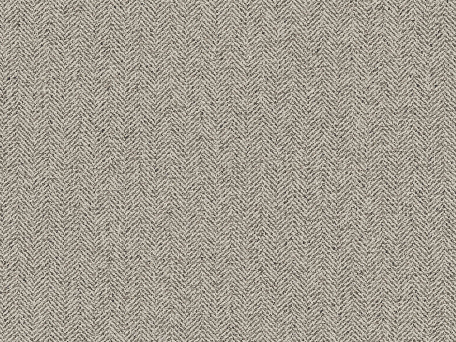 Hookedonwalls Promenade Bone - 20210