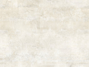 Hookedonwalls Bossa Nova Pedra - 22461