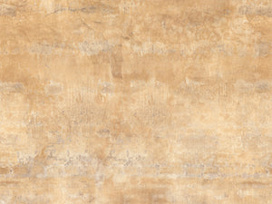 Hookedonwalls Bossa Nova Pedra - 22462