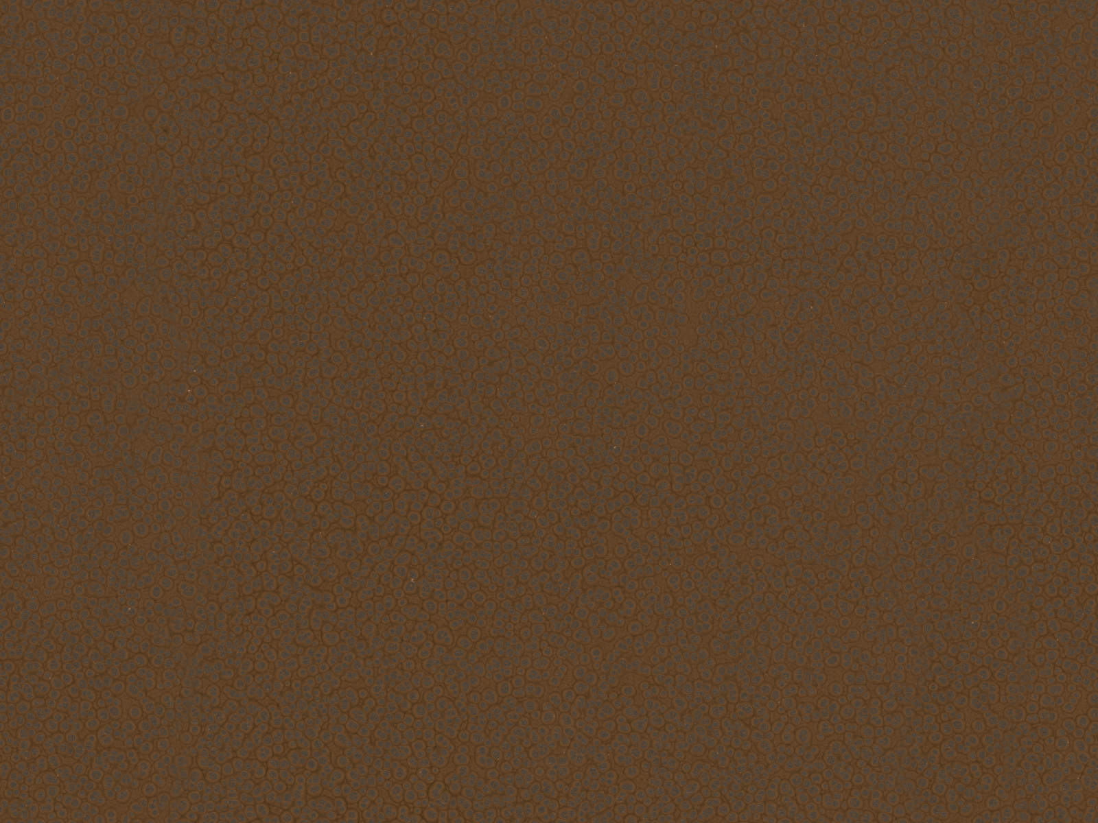 HookedOnWalls Material Matters Hammer Blow - 24727