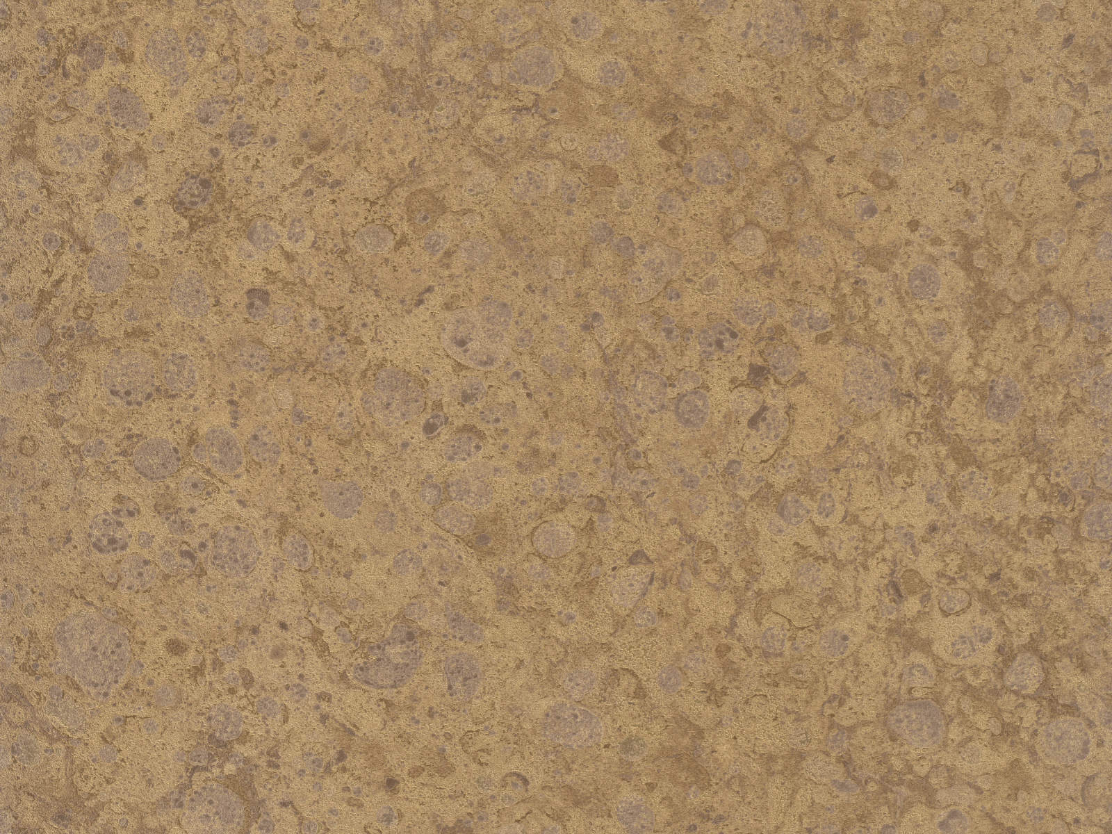 HookedOnWalls Material Matters Moonstone - 24730