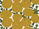 HookedOnWalls Marimekko Vol 06 Primavera - 25107