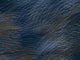 HookedOnWalls Marimekko Vol 06 Lepo - 25140