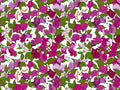 HookedOnWalls Enriquezland D'amour - 25508