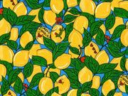 HookedOnWalls Enriquezland Limoni - 25539