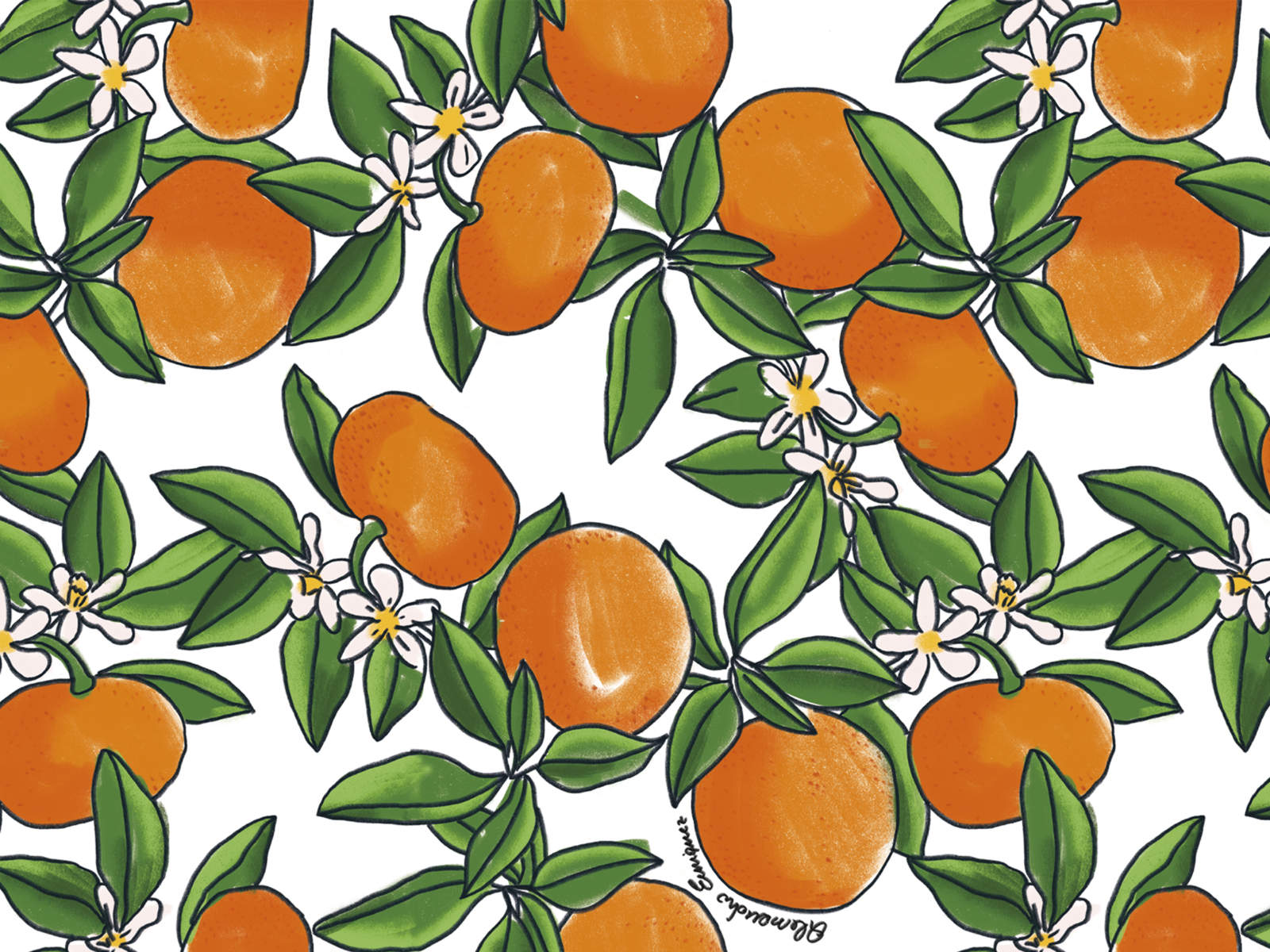 HookedOnWalls Enriquezland Tangerine - 25540