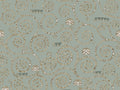 HookedOnWalls Academy Stoclet - 25604