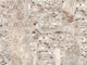 HookedOnWalls Academy Adele - 25682