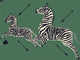 Hookedonwalls Scalamandré Zebras - 26001
