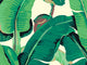 Hookedonwalls Scalamandré Hinson Palm - 26010