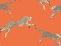 Hookedonwalls Scalamandré Leaping Cheetaj - 26017