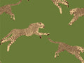 Hookedonwalls Scalamandré Leaping Cheetaj - 26024