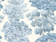 Hookedonwalls Scalamandré Central Park - 26038