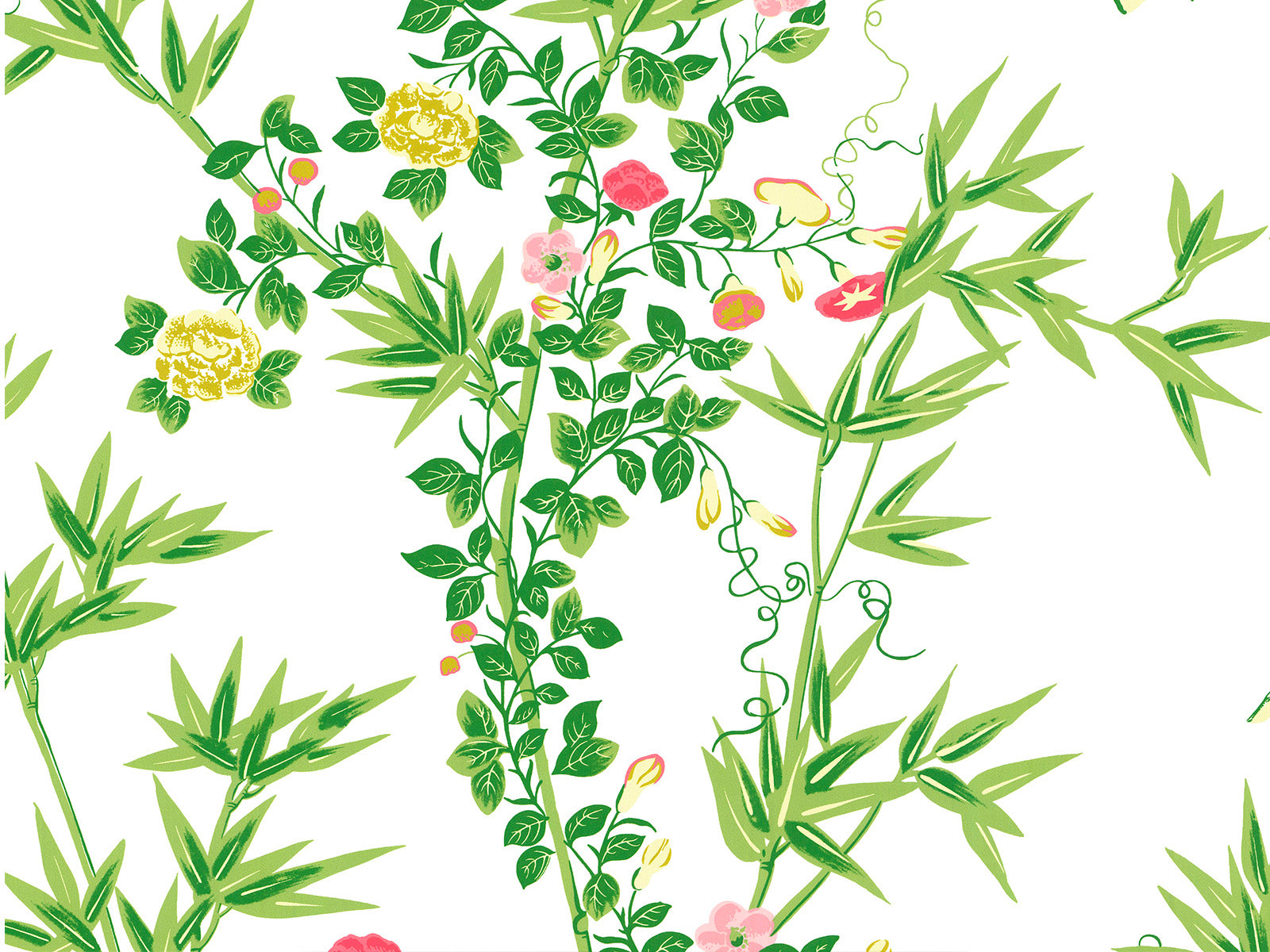 Hookedonwalls Scalamandré Jardin De Chine - 26057