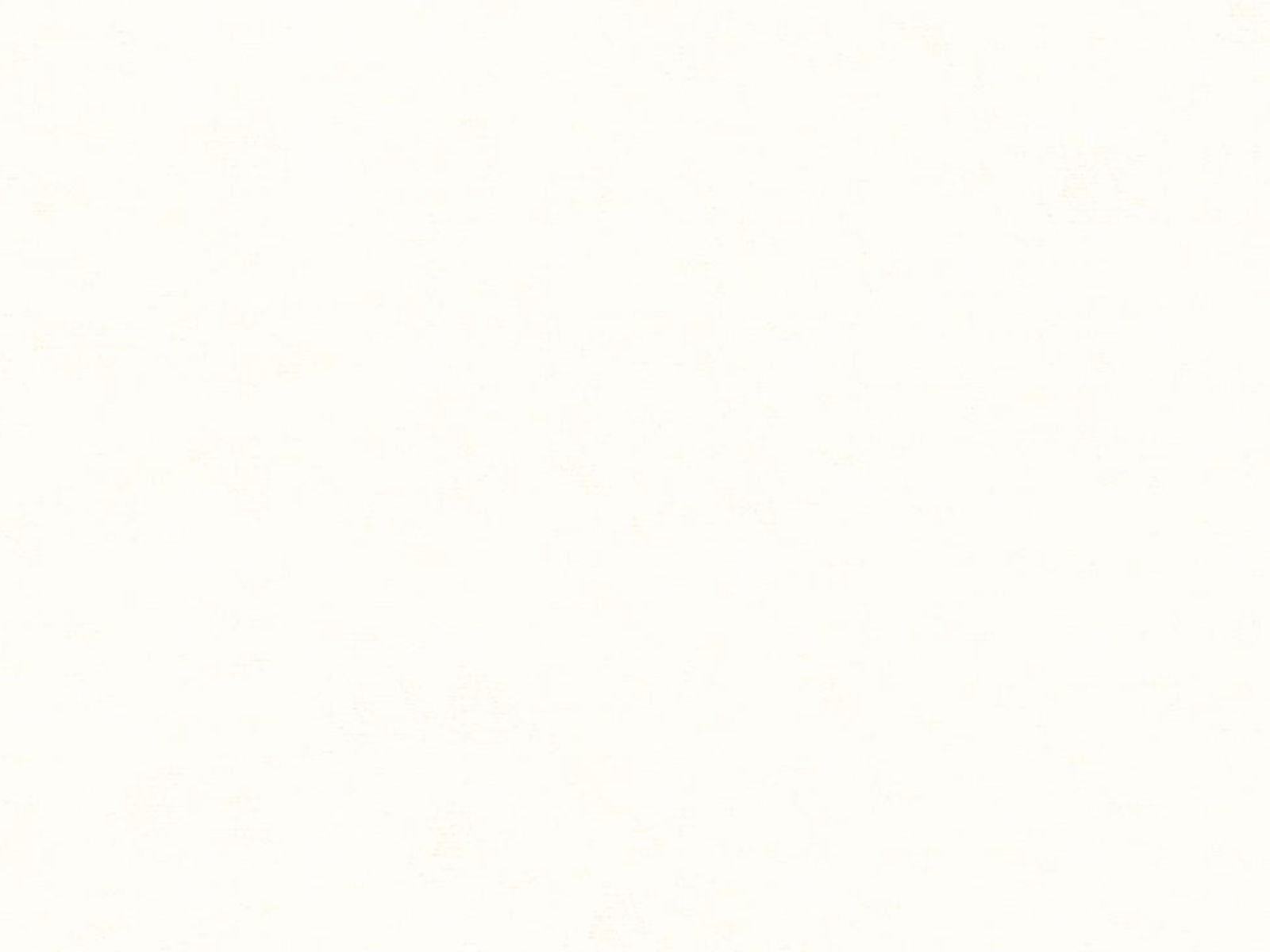 HookedOnWalls Caribbean Plain - 27251