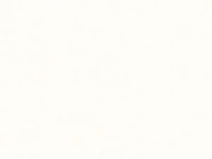 HookedOnWalls Caribbean Plain - 27251