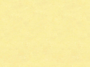 HookedOnWalls Caribbean Plain - 27269
